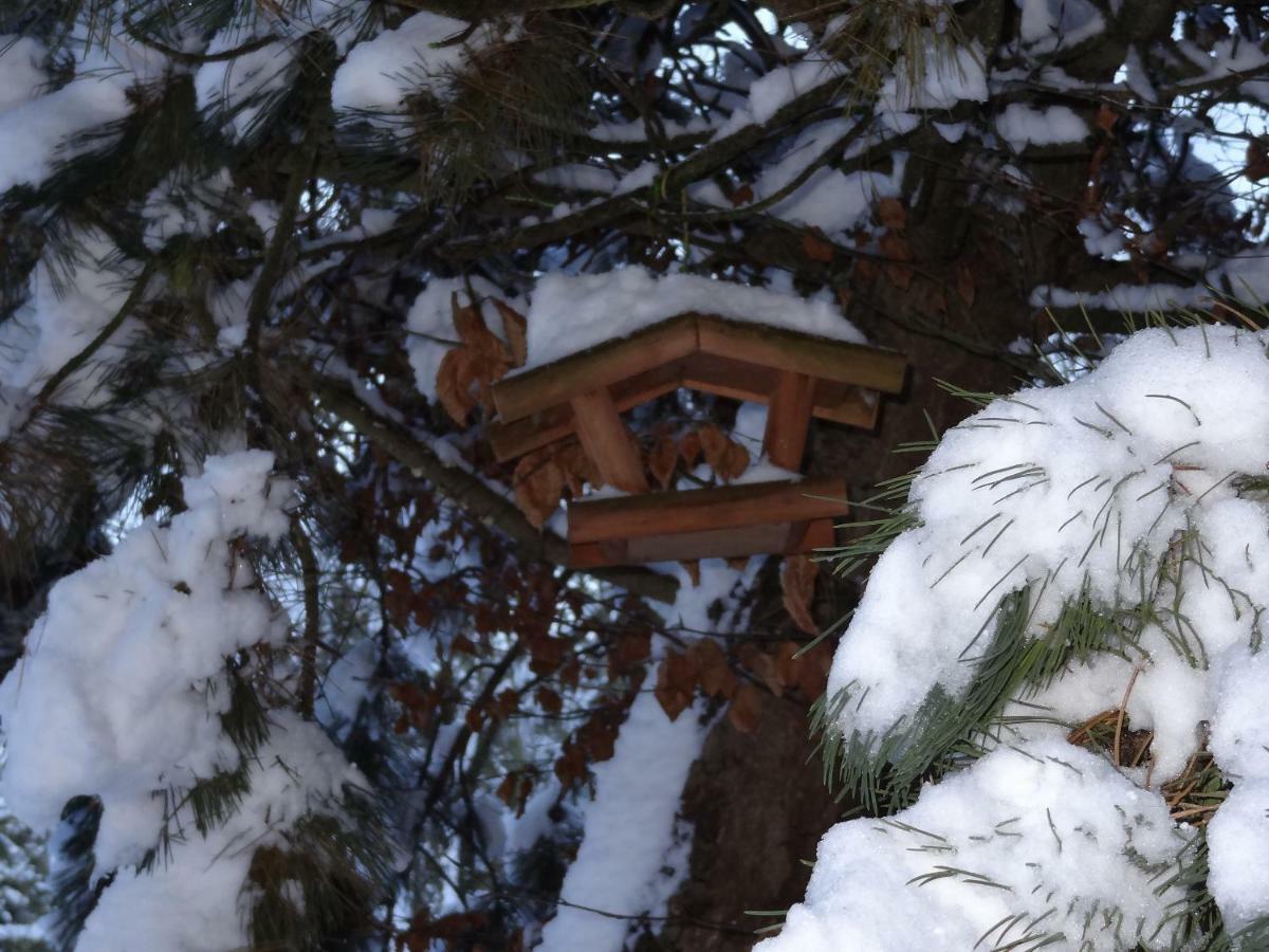 Nadrin La Fermette Blanche Bed & Breakfast エクステリア 写真